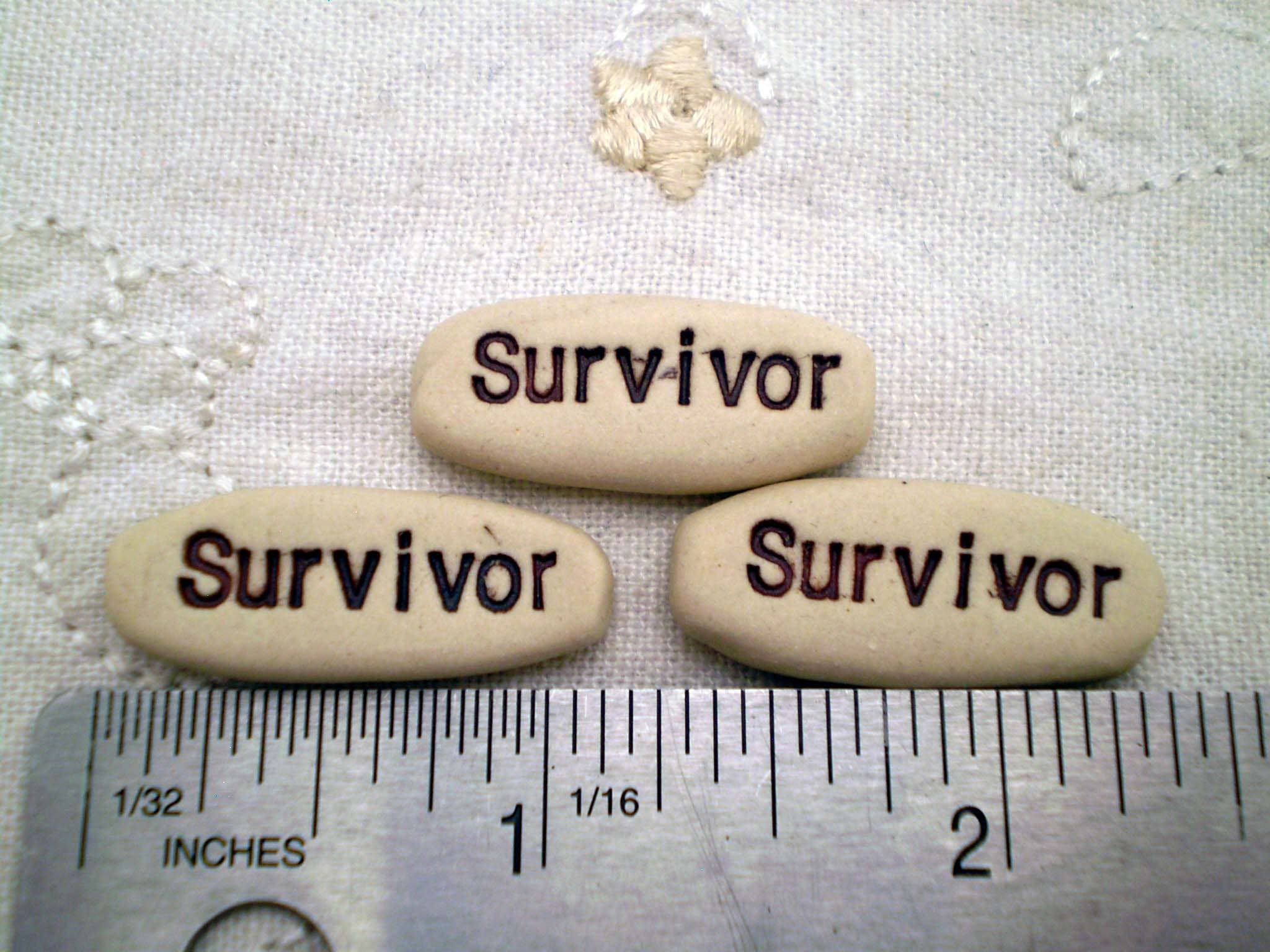 Survivor, Pocket Meditations