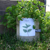 Garden in a Bag | Mint