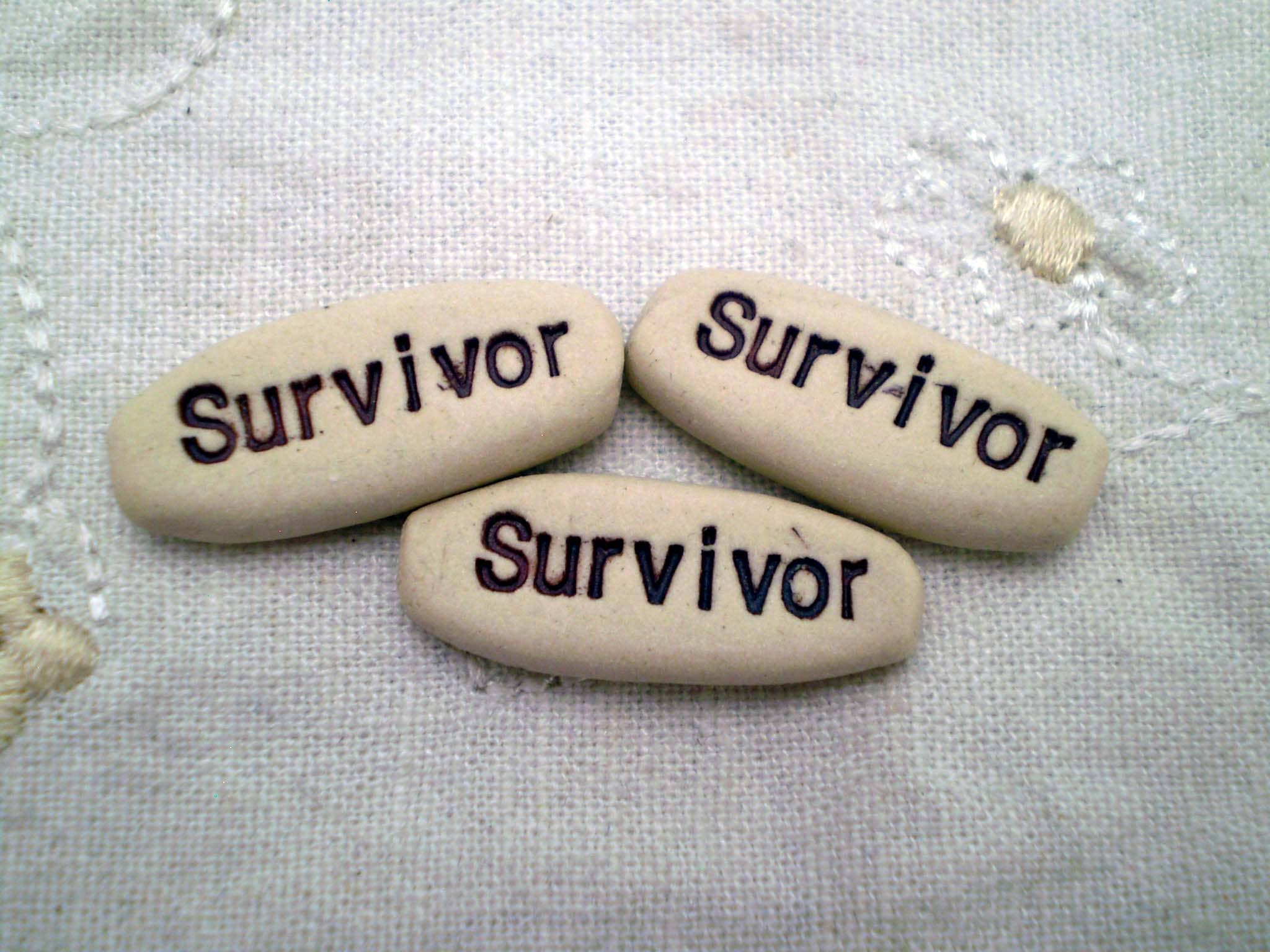 Survivor, Pocket Meditations