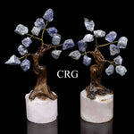 SET OF 2 - Mini Rough Rock Sodalite Tree