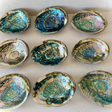 Abalone Shell Smudge Bowls (Medium)