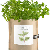 Garden in a Bag | Mint